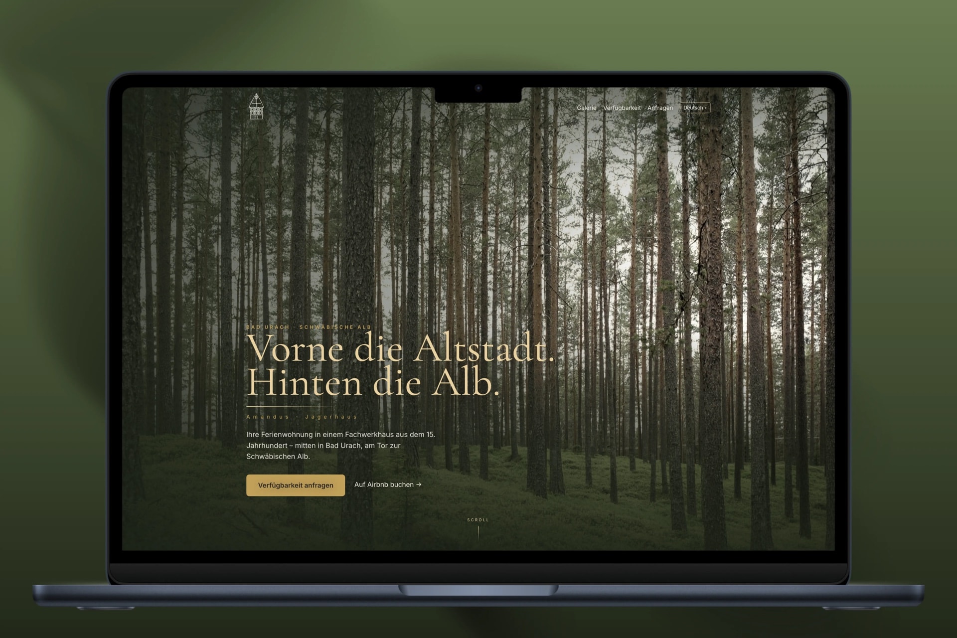 Startseite von Amandus Jägerhaus: Wald-Hero mit dem Titel „Vorne die Altstadt. Hinten die Alb.“